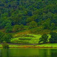 Buy canvas prints of Rydal Water       by Victor Burnside
