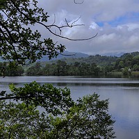 Buy canvas prints of Rydal Water by Victor Burnside