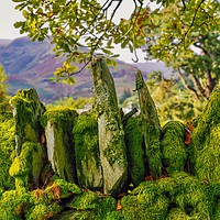 Buy canvas prints of Lake District  by Victor Burnside