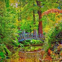 Buy canvas prints of English Garden by Victor Burnside
