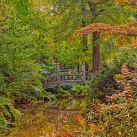 Buy canvas prints of Autumn Garden by Victor Burnside