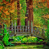 Buy canvas prints of English Garden with Bridge  by Victor Burnside