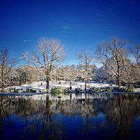 Buy canvas prints of          Park in Winter                            by Victor Burnside