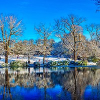 Buy canvas prints of Park in Winter  by Victor Burnside