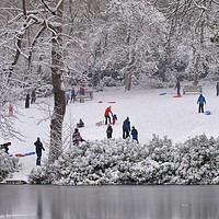Buy canvas prints of Park in Snow by Victor Burnside