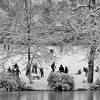 Buy canvas prints of Park in Snow  by Victor Burnside