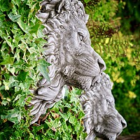 Buy canvas prints of Garden Lions  by Victor Burnside