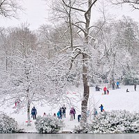 Buy canvas prints of Park In Winter      by Victor Burnside