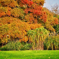 Buy canvas prints of English Autumn Garden    by Victor Burnside