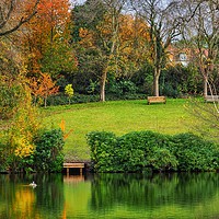 Buy canvas prints of English Park in Autumn  by Victor Burnside