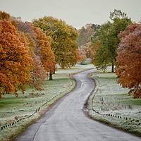 Buy canvas prints of Frosty Road by Victor Burnside