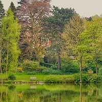 Buy canvas prints of English Park in Spring  by Victor Burnside