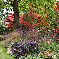 Buy canvas prints of English Autumn Garden  by Victor Burnside