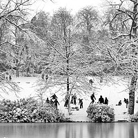 Buy canvas prints of Park in Winter  by Victor Burnside