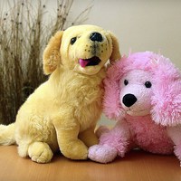 Buy canvas prints of Soft Toys, Tabletop by Robert Cane