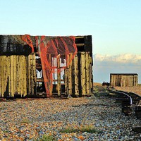 Buy canvas prints of Dungeness, Old Beach Hut by Robert Cane
