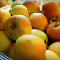 Buy canvas prints of Apples at the breakfast buffet by Robert Cane