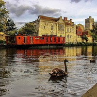 Buy canvas prints of The Archbishops Palace, Maidstone by Robert Cane