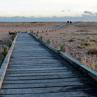 Buy canvas prints of Dungeness, Beach Walkway by Robert Cane