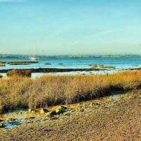 Buy canvas prints of Riverside Country Park, River View by Robert Cane