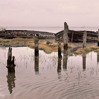 Buy canvas prints of Hoo Marina, Kent, Wrecked Boats by Robert Cane
