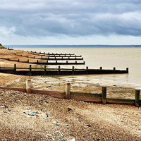 Buy canvas prints of Isle of Grain, Kent, Beach View by Robert Cane