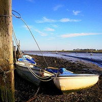 Buy canvas prints of Lower Halstow, Moored Boats by Robert Cane
