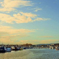 Buy canvas prints of Rochester Marina Sunlight by Robert Cane