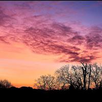 Buy canvas prints of Red Sky In The Morning by Robert Cane