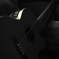 Buy canvas prints of Acoustic Bass by Cristopher  Selga
