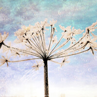 Buy canvas prints of Winter Palm by Randi Grace Nilsberg