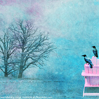 Buy canvas prints of Resting Crows by Randi Grace Nilsberg