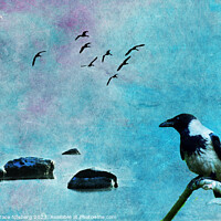 Buy canvas prints of Bird of Wisdom by Randi Grace Nilsberg