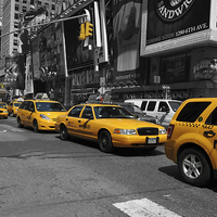 Buy canvas prints of Yellow Cabs by Randi Grace Nilsberg