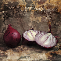 Buy canvas prints of Red Onions by Randi Grace Nilsberg