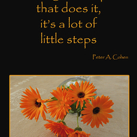 Buy canvas prints of Little Steps by Randi Grace Nilsberg