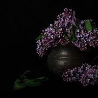Buy canvas prints of Lilacs and Patina by Randi Grace Nilsberg