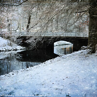 Buy canvas prints of Winter by the Canal by Randi Grace Nilsberg