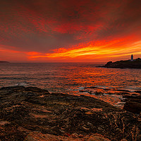 Buy canvas prints of Godrevy Lighthouse by Anthony Rigg