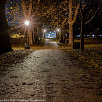 Buy canvas prints of After Dark in the Park by Anthony Rigg