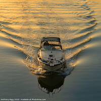 Buy canvas prints of River Boat at Sunset by Anthony Rigg