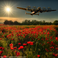 Buy canvas prints of Avro Lancaster over Poppy Fields  by Anthony Rigg