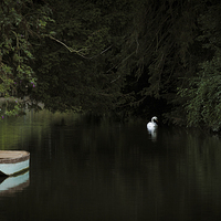 Buy canvas prints of River scene by Tristan Morphew