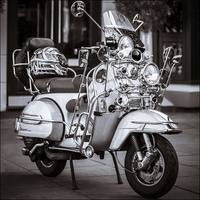 Buy canvas prints of Vespa PX Scooter by Tristan Morphew