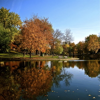 Buy canvas prints of Reflection in the Park by Michael Wood