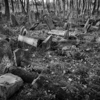 Buy canvas prints of Jewish cemetery by Robert Parma
