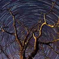 Buy canvas prints of Star Trails by Jamie Whyte