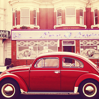 Buy canvas prints of The Red Beetle by Lesley Mohamad