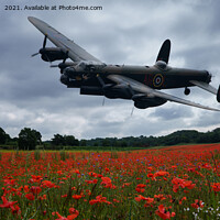 Buy canvas prints of Lancaster Bomber Flying Over A Poppy Field With Li by rawshutterbug 