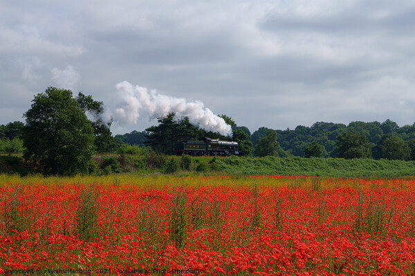 Locomotive Passing A Poppy Field Picture Board by rawshutterbug 